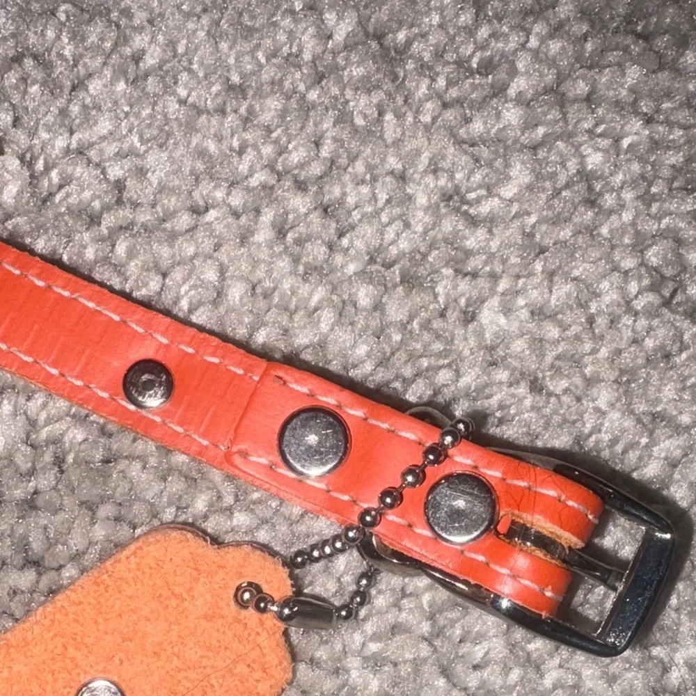New Orange Dog Collar with Paw Charms leather size 10 inches
